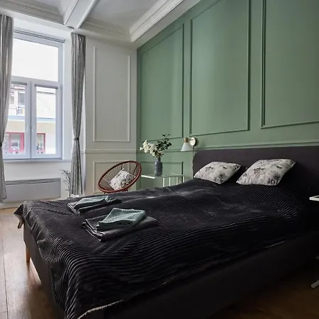 Spacious Luxury In The Centre Apartment Budapest